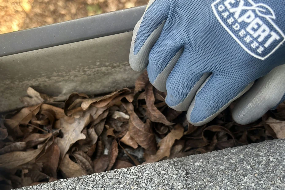 Gutter Cleaning Sunset